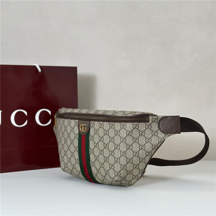 Replica Gucci Ophidia Large Belt Bag 839104 FAEOF 9745 (3)